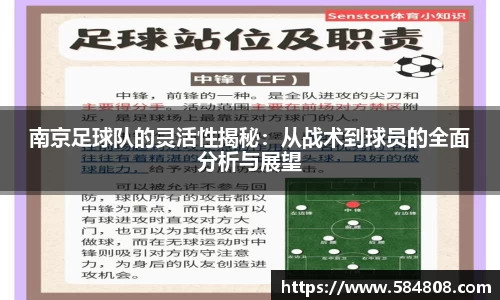 南京足球队的灵活性揭秘：从战术到球员的全面分析与展望